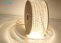 RGBWW Or White Led Strip Lights IP65 Low Or High Voltage CCT Stepless Dimming